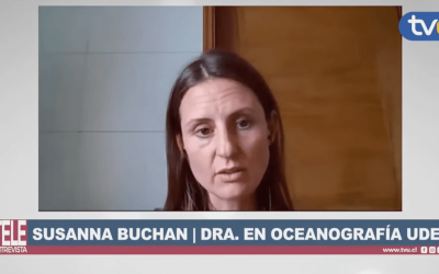Susannah Buchan, científica: Hay ballenas azules chilenas y tienen su propio dialecto